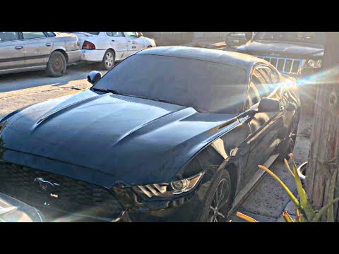 Daniel Vazquez - Mi Gente Anda Al Tiro