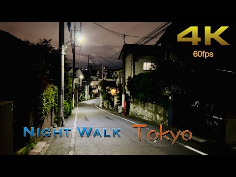 [4K] Tokyo Night Walk. A quiet, relaxing walk around the backstreets of Kugahara. #asmr #nightwalk