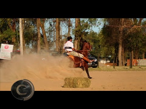 Redomão in Lagoa, horses getting better and better.