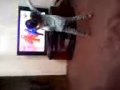 Cute Baby Warda Dancing To Yo Gabba Gabba W Jack Black