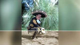 Vicente Fernández juan charrasqueado