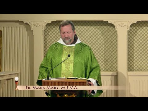 Daily Readings and Homily - 2023-06-18 - Fr. Mark