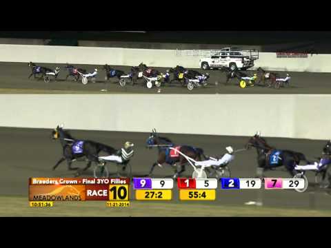 Breeders Crown 3YO Filly Pace Final - Sayitall BB - November 21, 2014