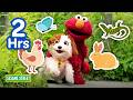 Elmo S Favorite Animals 2 HOURS Sesame Street