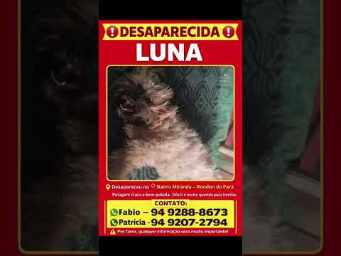 Vídeo de Luna