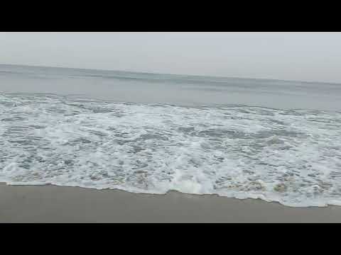 arabic sea in kozikote