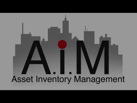 Asset inventory management