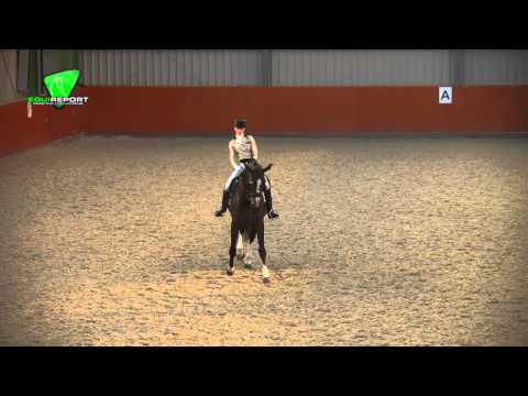 Dinja van Liere - Hexagon's Roumanda KNHS #1 U25 GP (Kv) Genemuiden 22-02