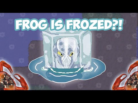 Pocket Ants: Christmas 2023 IS AMAZING!!