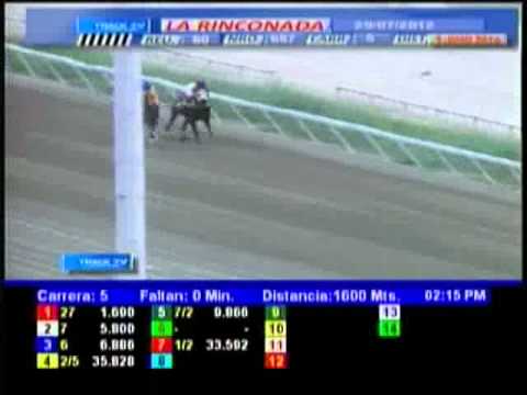 Resumen Domingo, 29 de Julio de 2012 - La Rinconada