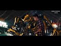 Bumblebee Crying