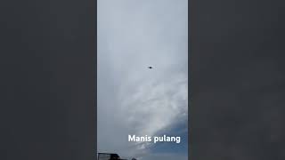 Download lagu merpati kentong surabaya mp3