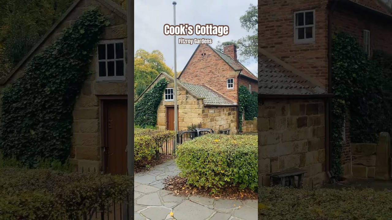 YouTube Short thumbnail