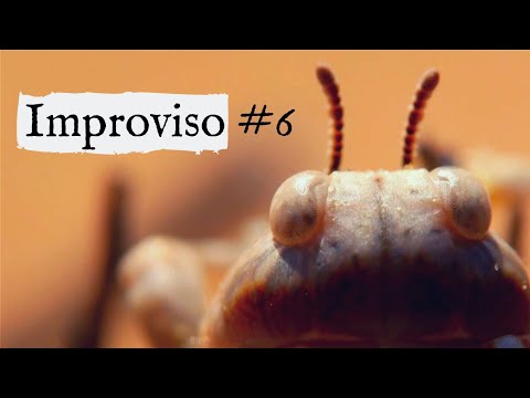 Improviso #6