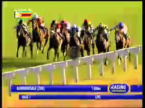 2013.06.16 Champion Juvenile Stakes - Lucky Sam