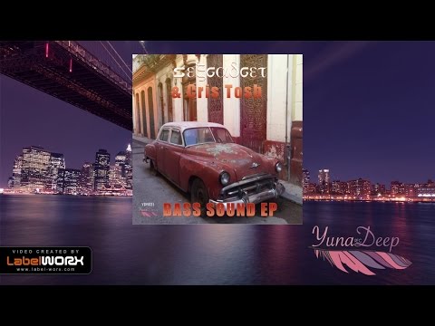 Sexgadget & Chris Tosh - Feel The Sound (Original Mix)