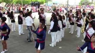 preview picture of video 'Desfile del 5 de Mayo en Tepalcingo Morelos 2013'
