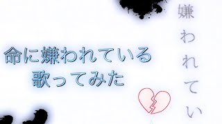 命に嫌われている歌ってみた