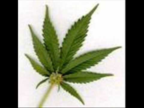 WILEY FT FRISCO - MARIJUANA