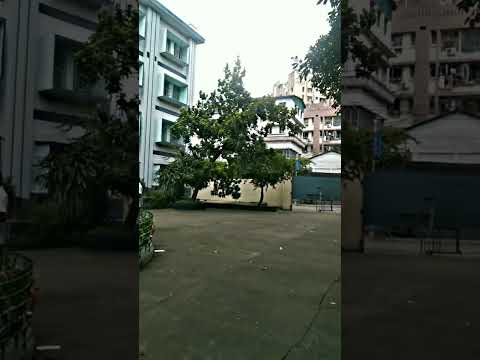 #shortsvideo #statusvideo #nature #Don Bosco Nitika.