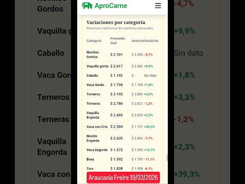 Resumen Feria Araucanía - Freire 19/03/2026 más info en #aprocarne