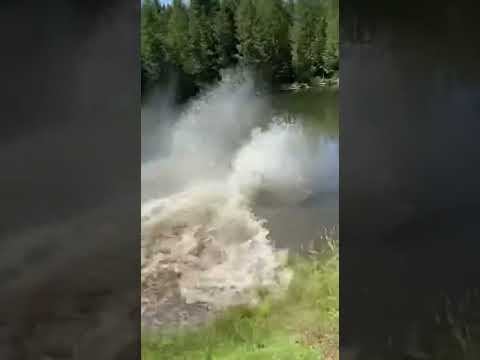 Elk causing golf cart panic thumbnail