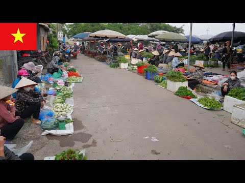 The Vietnamese Village Market Still Lives On! A Morning at Gang Market – Bac Giang