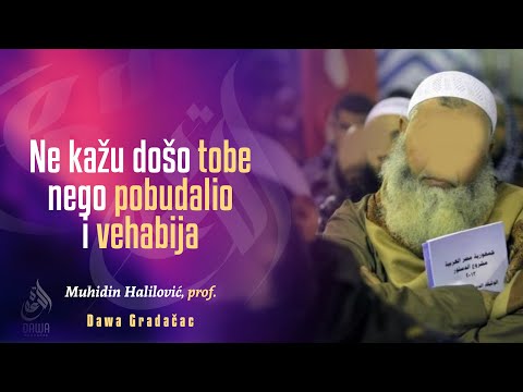 NE KAŽU DOŠO TOBE NEGO POBUDALIO I VEHABIJA - Muhidin Halilović, prof.