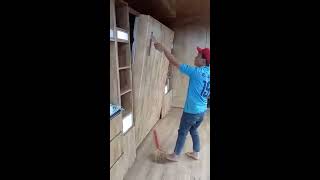 video giường container