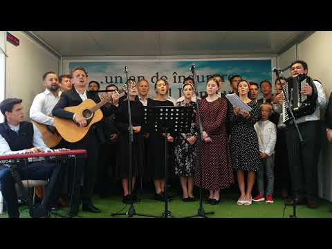 Grupul Daia-Vicov - Osana, Osana