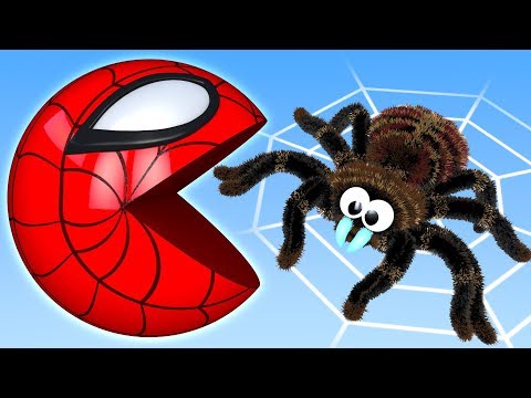 Learn Colors with Pacman as he chomps Fruit on Tree and rolls down a magic slide