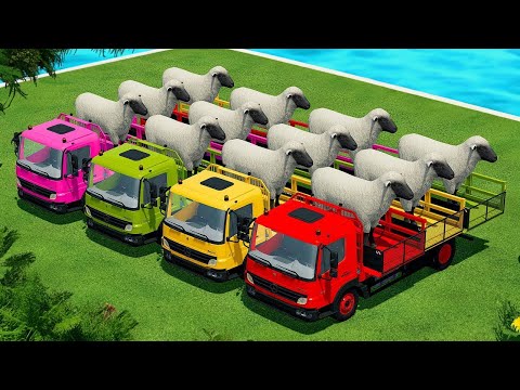 LOAD AND TRANSPORT SHEEPS & POTATOES WITH RIGITRAC TRACTORS - Farming Simulator 22