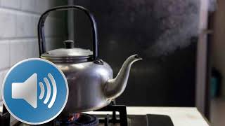 Download lagu Suara air mendidih dalam teko /ceret mp3 Download lagu Suara air mendidih dalam teko /ceret mp3