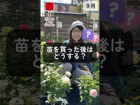 苗を何に入れますか？ 4 つの回復アイデア + ビデオ手順  庭園