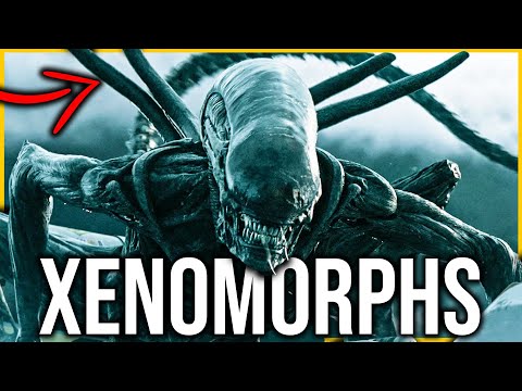 Xenomorph
