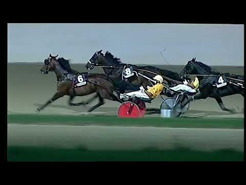 Napoli Trotto 24/08/2022 - 7ª corsa