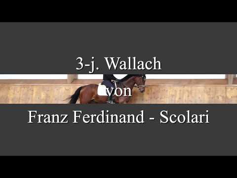 FranzFerdinand Scolari   HD 720p