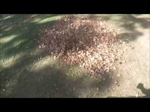 Fall clean up time + surprise - Lawn Care With NCELC #29