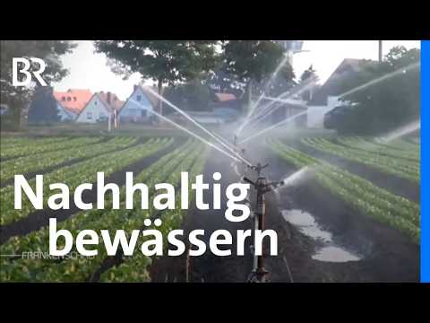 Nachhaltige Bewässerung im Knoblauchsland für Gemüsebau | BR