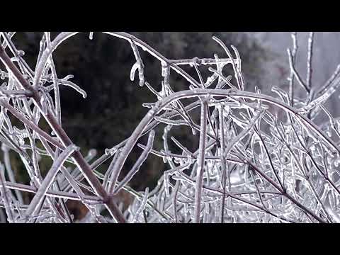 2021 Kentucky Ice Storm