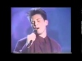 k.d.lang & The Reclines - Pullin' Back The Reins 1990
