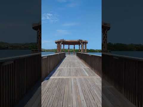 Ecoparque Cienaga Mallorquín - Barranquilla Atlantico