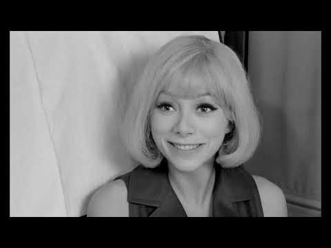 Un barbu c'est un barbu