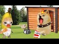 Banana Cat Crying Not Happy Compilation 282 Babybananacat Happycat Catmemes Bananacat