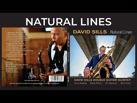 David Sills - Natural Lines online metal music video by DAVID SILLS