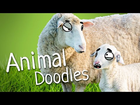Animal Doodles Compilation 01 by Ricky Doodles