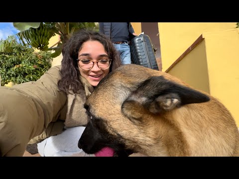 23 de diciembre: ¡vuelta a casa por navidad!