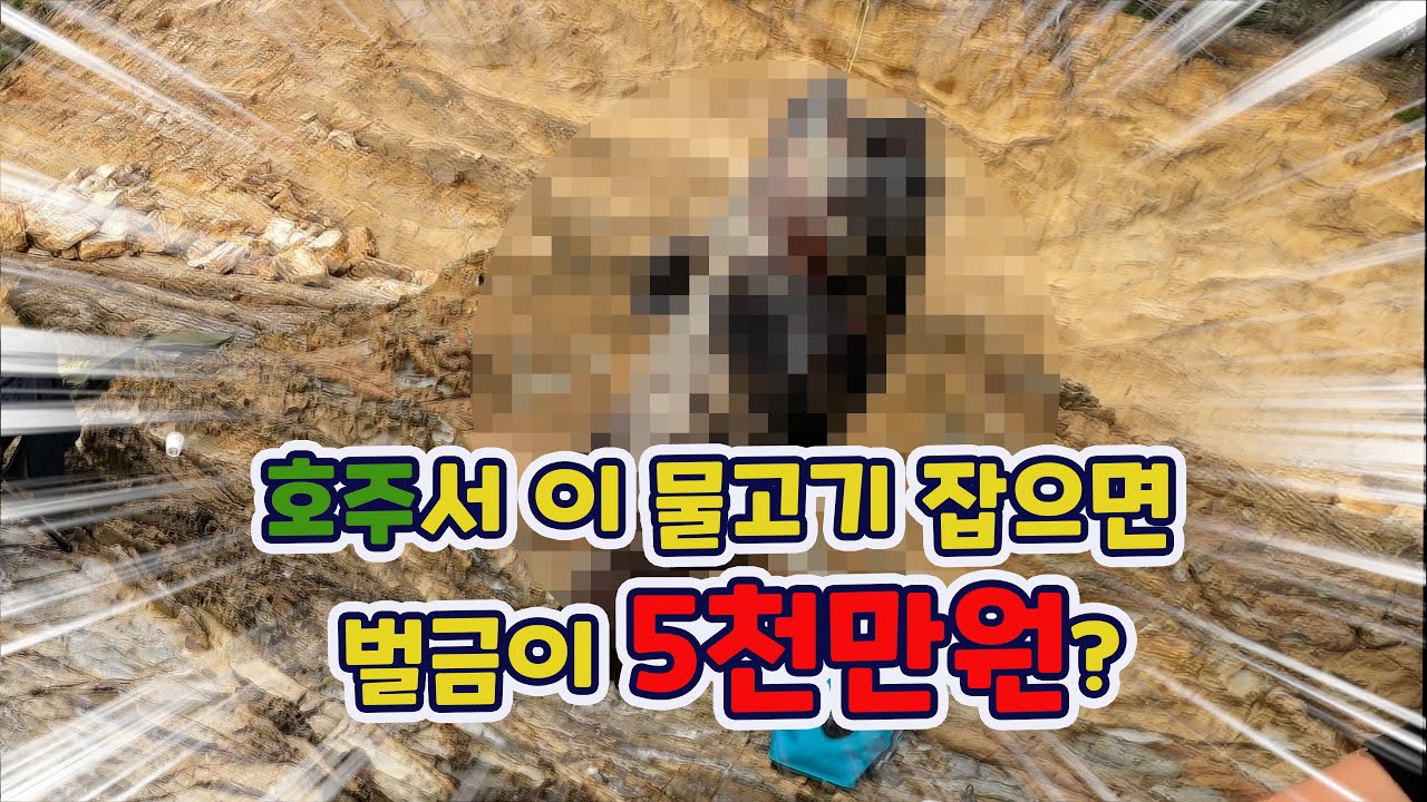 호주 갯바위낚시 물고기 제한 사이즈 총 정리(2021년)