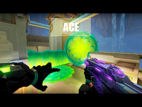 My Viper Setups are UNSTOPPABLE...