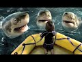 Consiguió El Poder De Controlar A Los Tiburones Luego De Perderse En El Mar Resumen De Peliculas